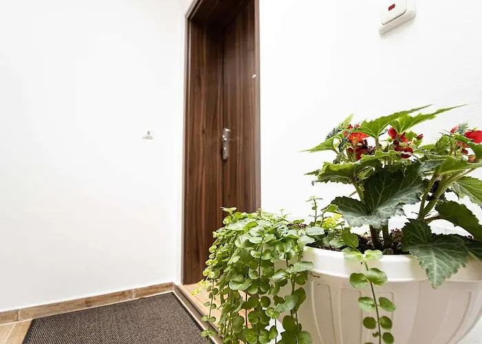 468 Plagwitz Kulturviertel Appartement Leipzig